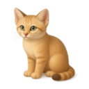 Kirkify AI