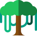 Canopy API