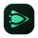FluxVideo Pro
