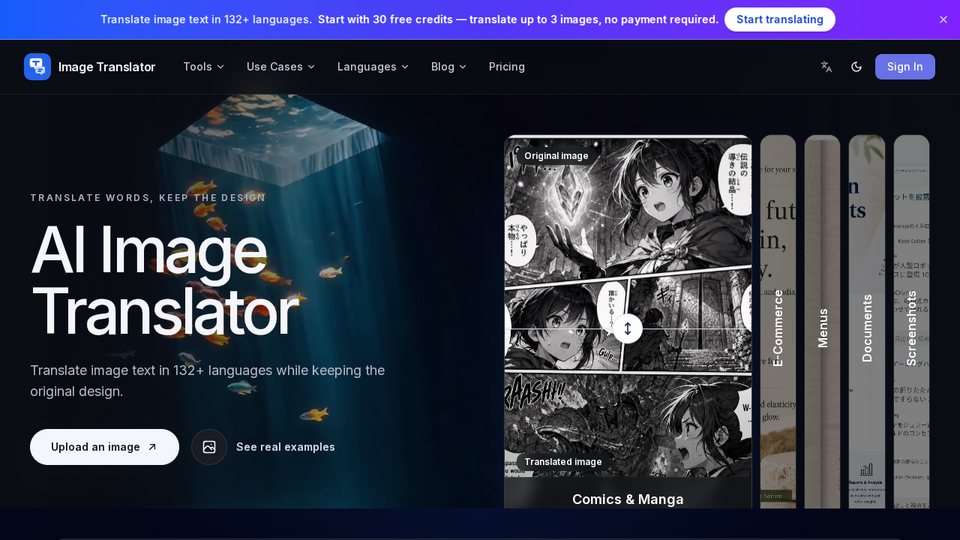 Screenshot of Image Translator