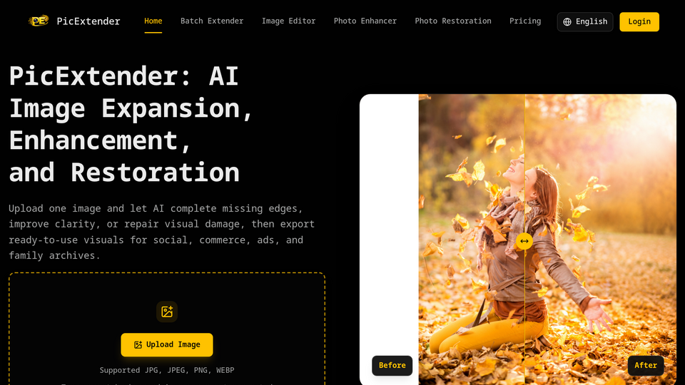 Screenshot of PicExtender