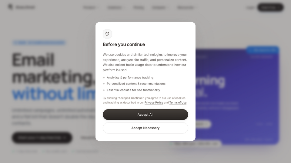 Screenshot of Bluey Email