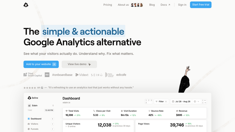 Screenshot of Seline Analytics