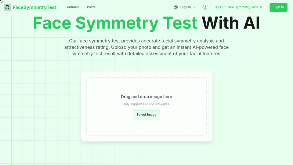Screenshot of Face Symmetry Test