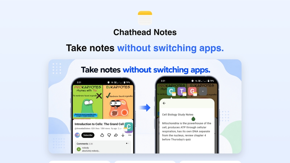 Screenshot of Chathead Notes