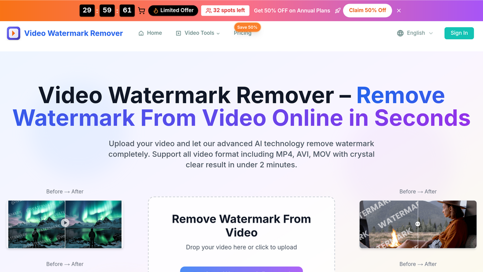 Screenshot of Video Watermark Remover