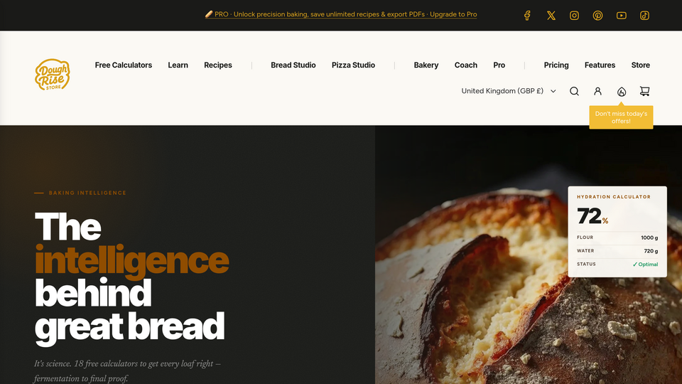 Screenshot of DoughRise