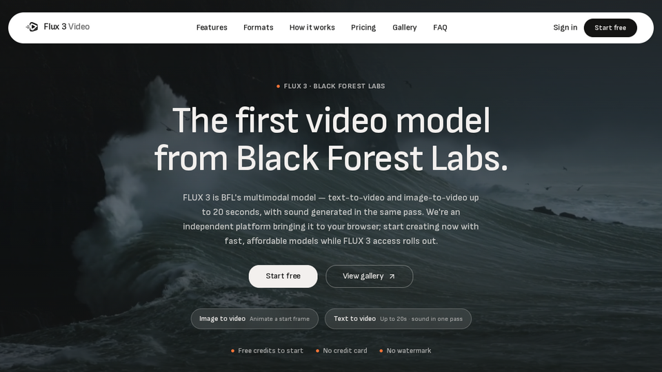 Screenshot of Flux 3 Video