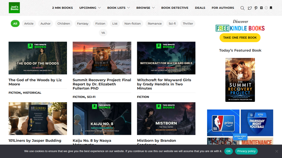 Screenshot of Joelbooks
